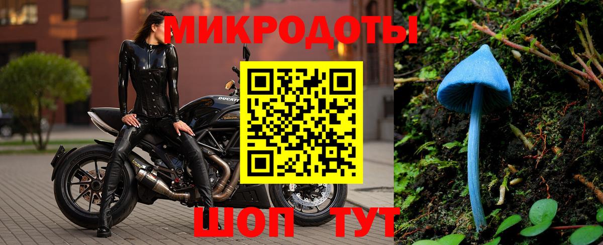 Псилоцибиновые грибы Psilocybe  Вход с VPN  Галлюциногенные грибы Magic Shrooms  Видное 